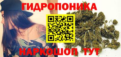 индика Донской