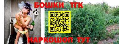индика Донской