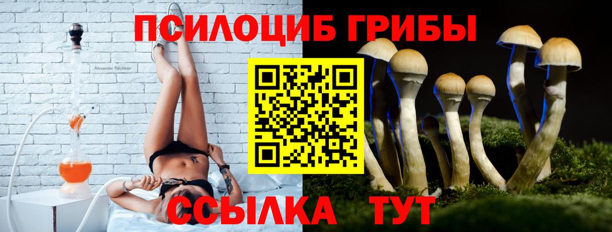 Светлоград  Псилоцибиновые грибы Magic Shrooms  Вход с VPN 