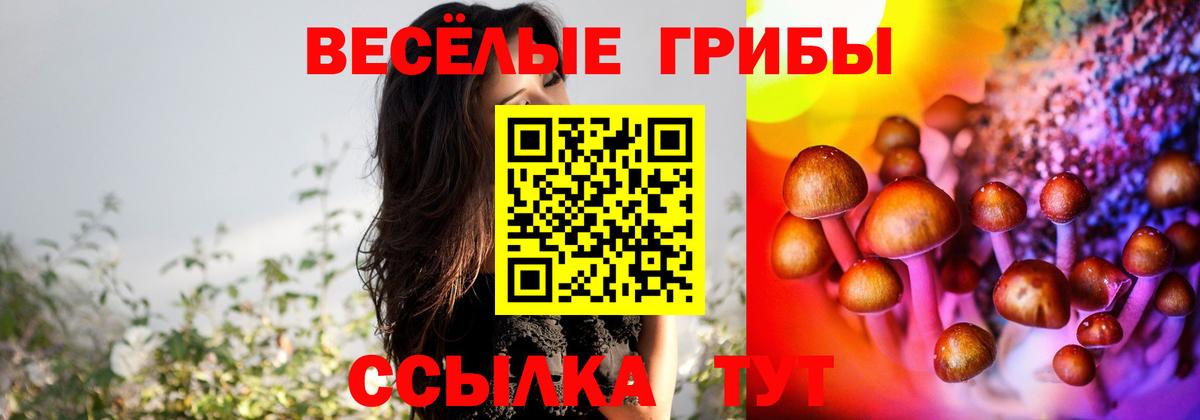 Светлоград  LSD-25  Вход с VPN  МЕФ кристаллы  Канабис  Cocaine  Гашиш  А ПВП СК кристаллы 